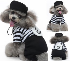 Thief Costume