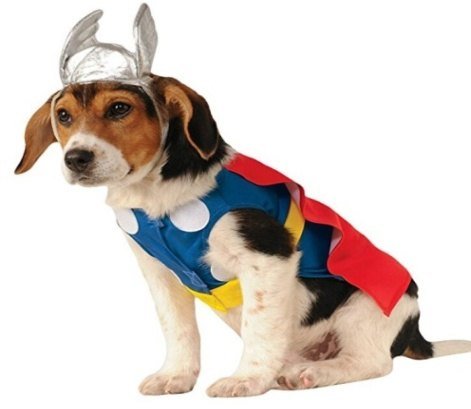 Disfraz de Thor con sombrero unisex negro S