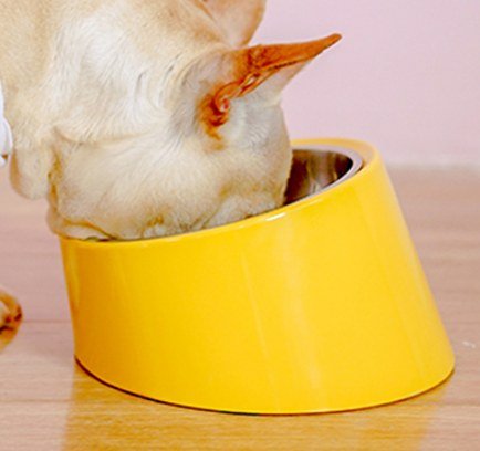 Tilted Round Bowl Small
