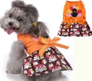 Turkey Dog Dress MQ