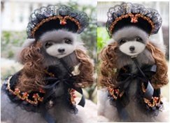 Princess Set (Hat + Wig + Cape) Black