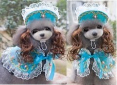 ropa para perros Set