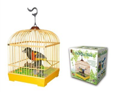 Pájaro de control por voz 18.50 x 18.50 x 34.50