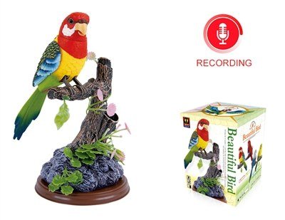 Voice Control Bird Recording