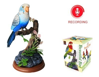 Pet Toy 12.00×22.00 cm (12.00×22.00 cm)