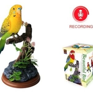 Voice Control Bird Recording HL517HR