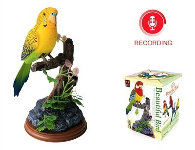 Pet Toy 12.00×22.00 cm