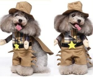 Western Cowboy Standing Dog Costume