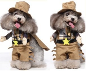 Western Cowboy Standing Dog Costume