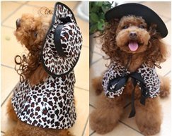 White Leopard EVA Dog Costume Set (Hat +