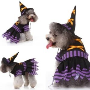 disfraz Wizard para perros