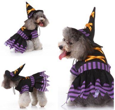 Wizard Dog Costume MQ