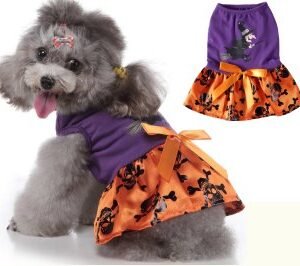 Wizard Skull Dog Dress MQ