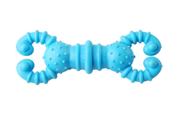 Shrimp Dog Toy, 12.7 cm