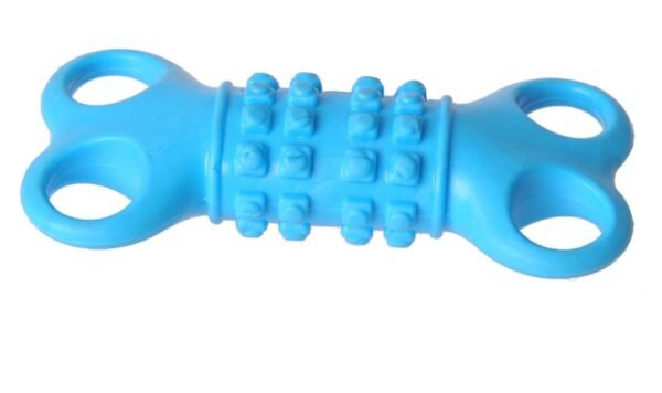 Four Hole Ball Dog Toy, 12 cm