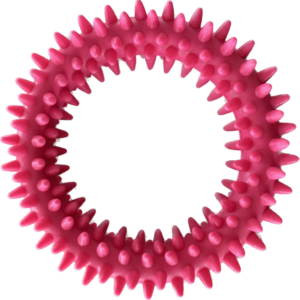 Small Spiky Ring Dog Toy, 9 cm