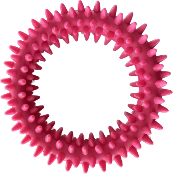 Small Spiky Ring Dog Toy, 9 cm
