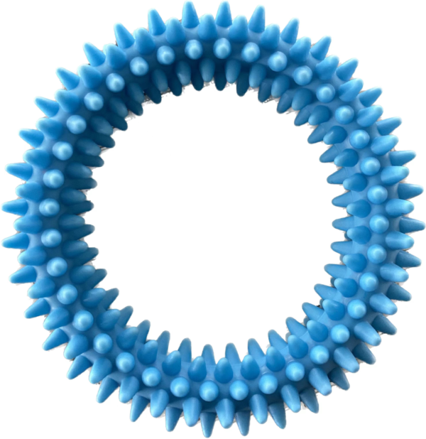 Medium Spiky Ring Dog Toy, 11.5 cm