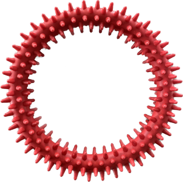 Large Spiky Ring Dog Toy, 12.5 cm