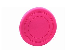 Flying Disc Dog Toy, 17.8 cm