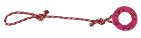 X087