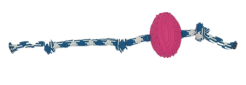 X088