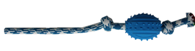 X089 X089