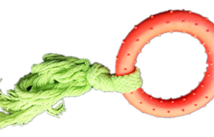 Large Circle Rope A Dog Toy, 19 cm