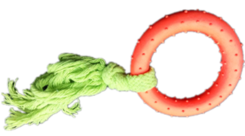 Large Circle Rope A Dog Toy, 19 cm