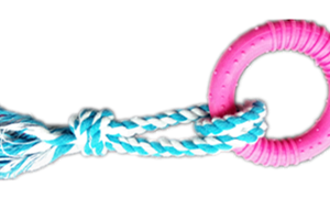 Large Circle Rope B Dog Toy, 23 cm