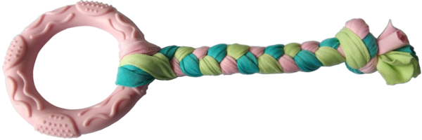Circle Braided Rope Dog Toy, 19 cm