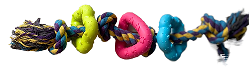 Multi Colour Rope Ring Tug Dog Toy, 37 cm