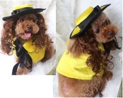 Yellow EVA Dog Costume Set (Hat Wig